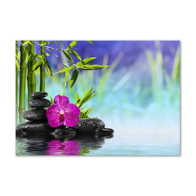 Plexiglas foto Bamboe-orchidee