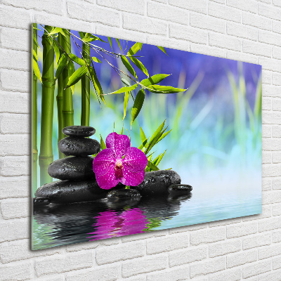 Plexiglas foto Bamboe-orchidee
