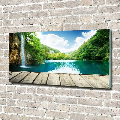 Plexiglas foto Waterval in het bos