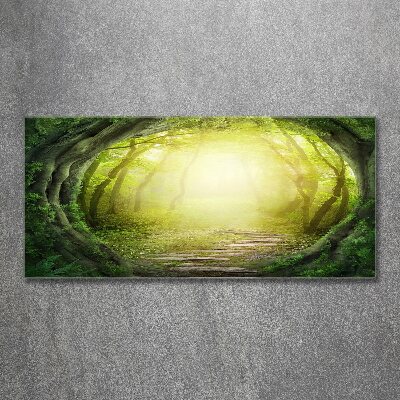 Schilderij op acrylglas Boomtunnel