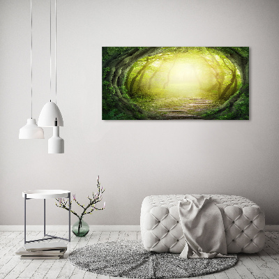 Schilderij op acrylglas Boomtunnel