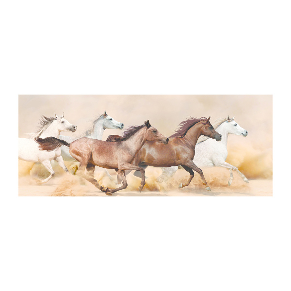 Plexiglas foto Paarden in galop