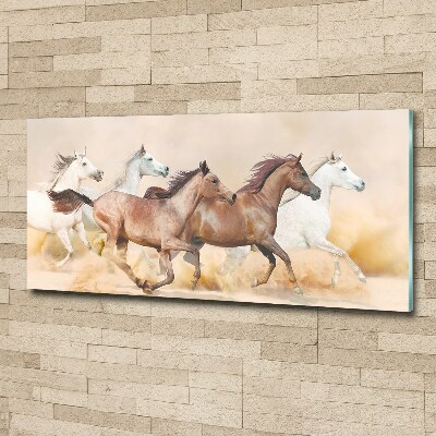 Plexiglas foto Paarden in galop