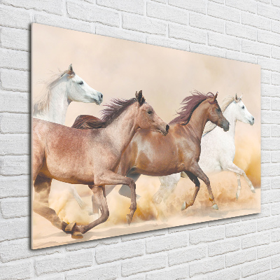 Plexiglas foto Paarden in galop