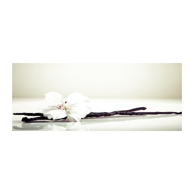 Plexiglas foto Vanillestokje