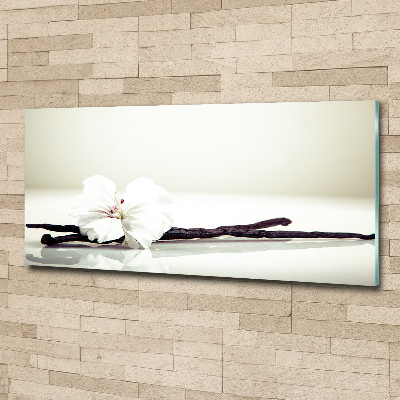 Plexiglas foto Vanillestokje