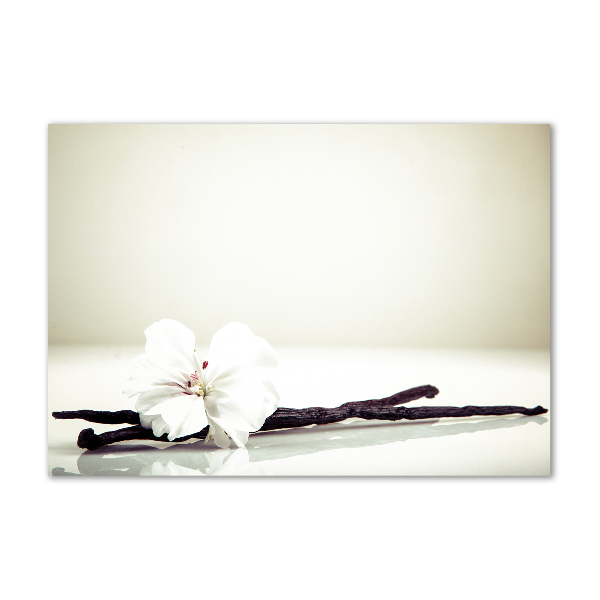 Plexiglas foto Vanillestokje