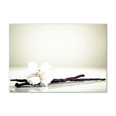 Plexiglas foto Vanillestokje