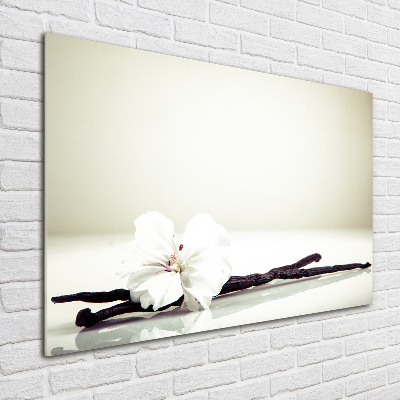 Plexiglas foto Vanillestokje