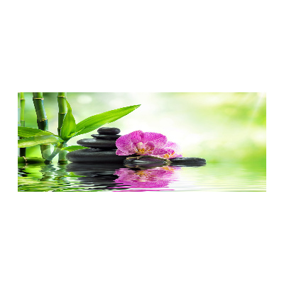 Foto plexiglas Orchidee
