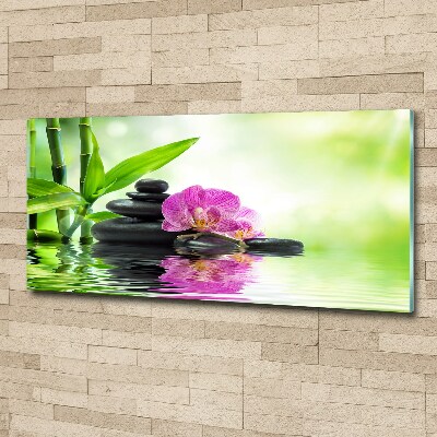 Foto plexiglas Orchidee