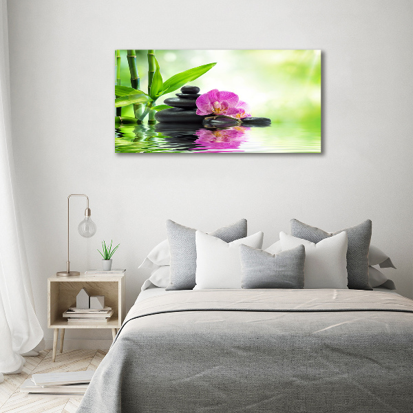 Foto plexiglas Orchidee