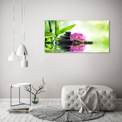 Foto plexiglas Orchidee