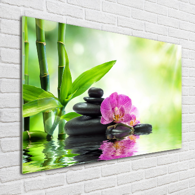 Foto plexiglas Orchidee