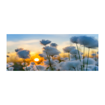 Foto in plexiglas Wolgras