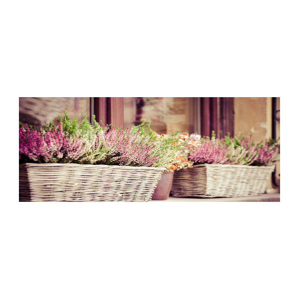 Schilderij op acrylglas Lavendel in een pot