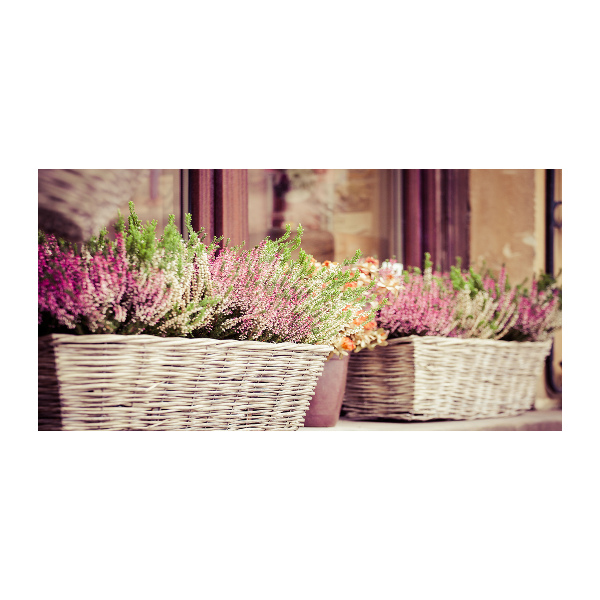 Schilderij op acrylglas Lavendel in een pot