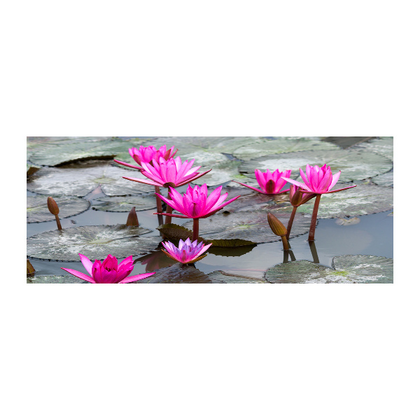 Plexiglas schilderij Lotusbloem