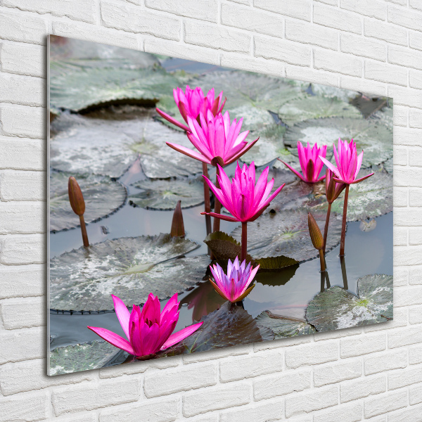 Plexiglas schilderij Lotusbloem
