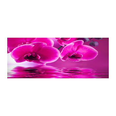 Foto op plexiglas Orchidee