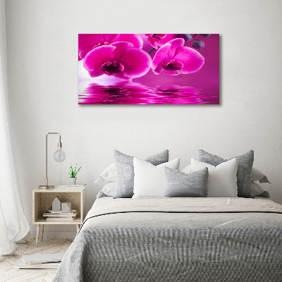 Foto op plexiglas Orchidee