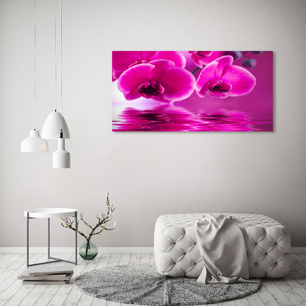 Foto op plexiglas Orchidee