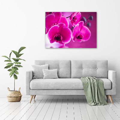 Foto op plexiglas Orchidee