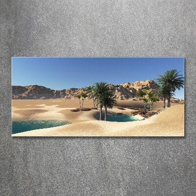 Plexiglas foto Oase