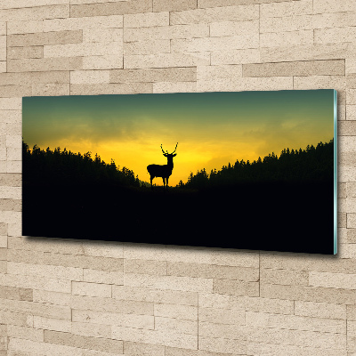 Schilderij op acrylglas Hert