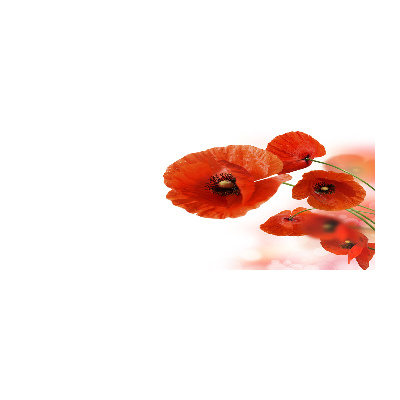 Foto in plexiglas Klaprozen