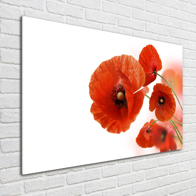 Foto in plexiglas Klaprozen