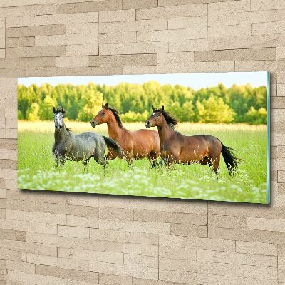 Foto plexiglas Paarden in galop