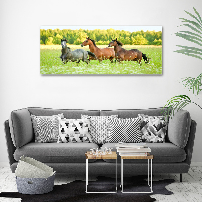 Foto plexiglas Paarden in galop