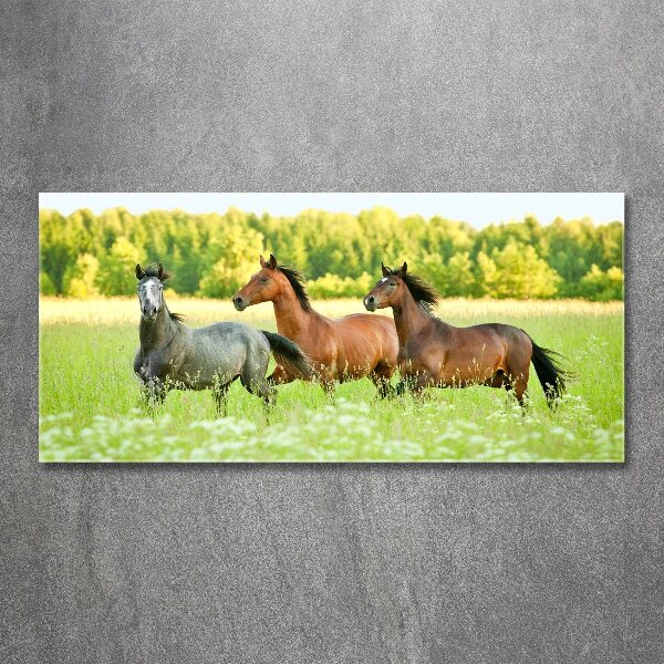 Foto plexiglas Paarden in galop