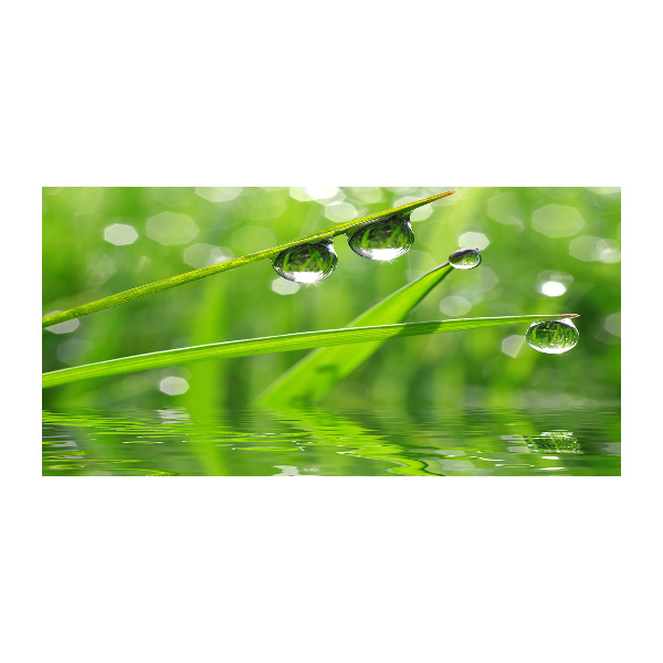 Schilderij op acrylglas Druppels op het gras