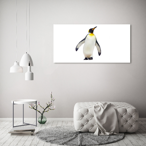Foto in plexiglas Pinguïn