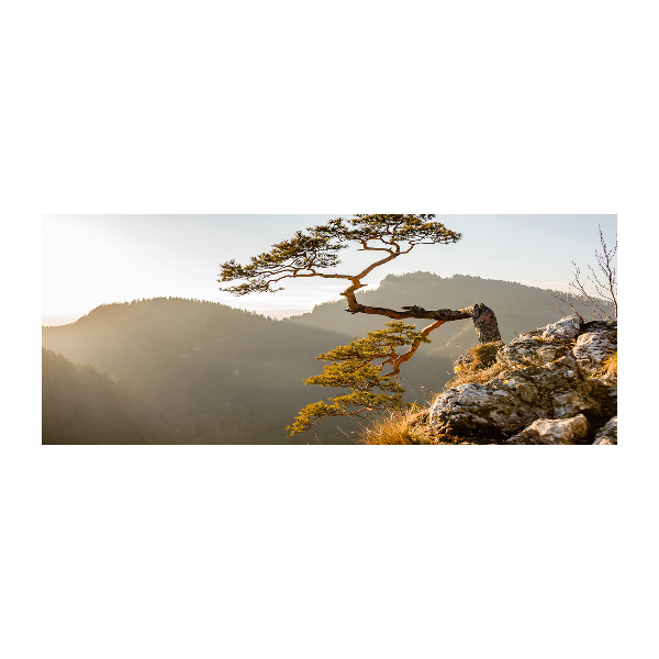 Foto op plexiglas Sokolica Pieniny