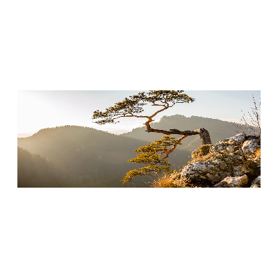 Foto op plexiglas Sokolica Pieniny