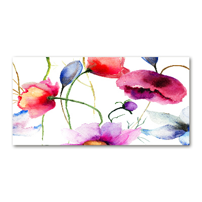 Foto plexiglas Klaprozen