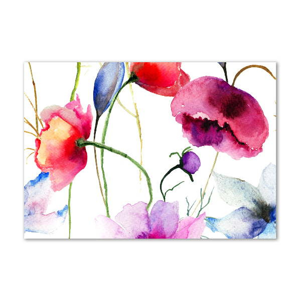 Foto plexiglas Klaprozen