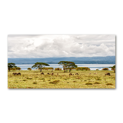 Foto plexiglas Naivasha-meer