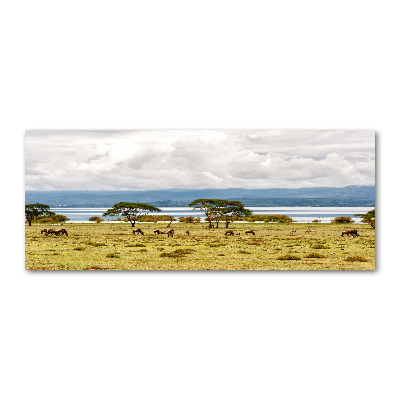 Foto plexiglas Naivasha-meer