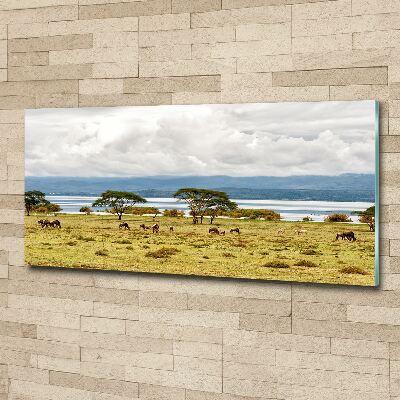 Foto plexiglas Naivasha-meer