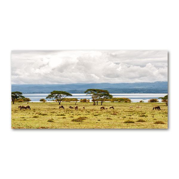 Foto plexiglas Naivasha-meer