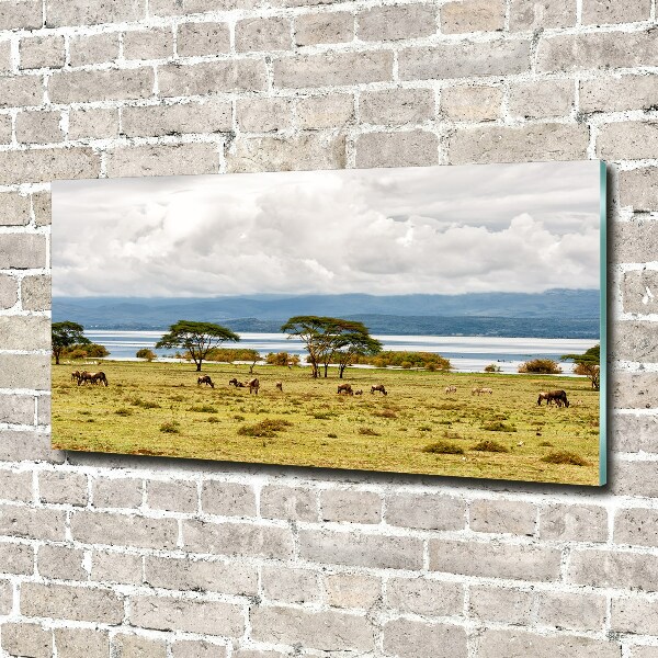 Foto plexiglas Naivasha-meer