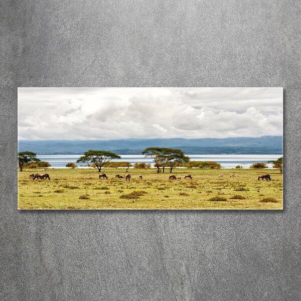 Foto plexiglas Naivasha-meer