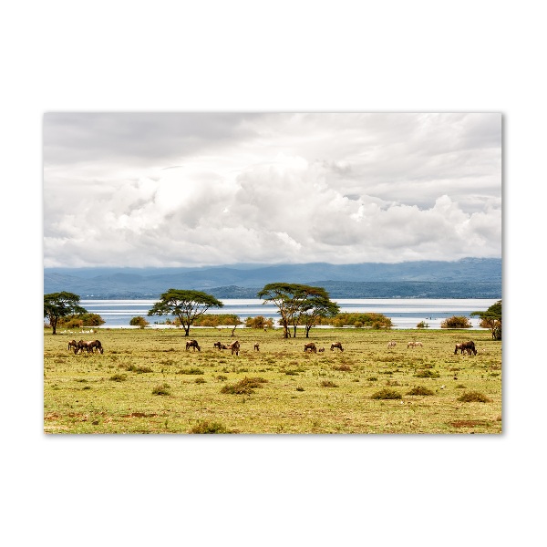 Foto plexiglas Naivasha-meer