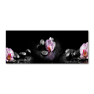 Plexiglas foto Orchidee