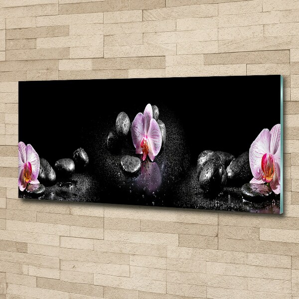 Plexiglas foto Orchidee