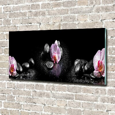 Plexiglas foto Orchidee
